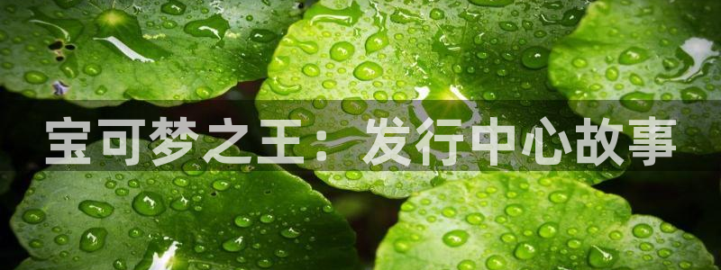 新宝GG集团是什么企业：宝可梦之王：发行中心故事