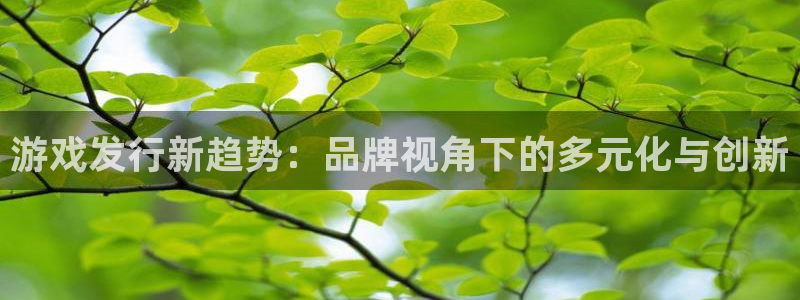 新宝GG子书店：游戏发行新趋势：品牌视角下的多元化与创新