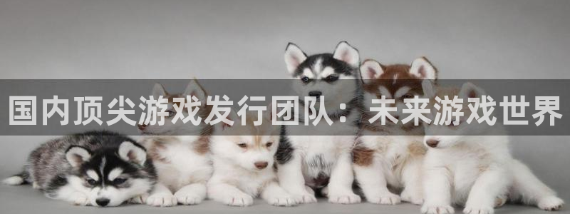 新宝GG技术有限公司：国内顶尖游戏发行团队：未来游戏世界