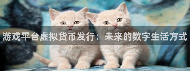 新宝GG子教育科技(江门)有限公司：游戏平台虚拟货币发行：未来的数字生活方式