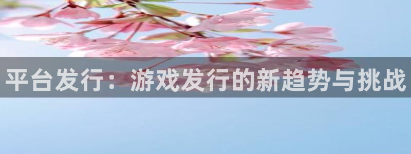 新宝GG官网平台代理条件如何：平台发行：游戏发行的新趋势与挑战