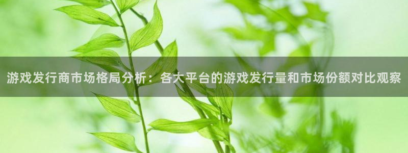 新宝GG电子商务有限公司地址：游戏发行商市场格局分析：各大平台的游戏发行量和市场份额对比观察