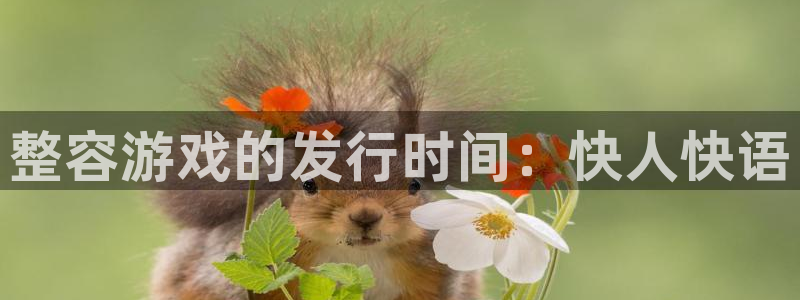 新宝GG官网注册平台合法吗?：整容游戏的发行时间：快人快语