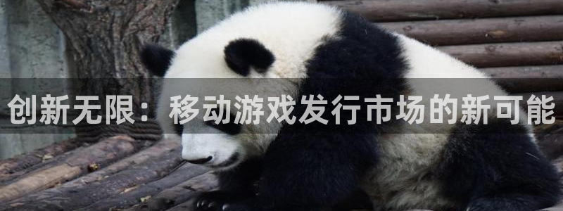 新宝GG集团公司怎么样：创新无限：移动游戏发行市场的新可能