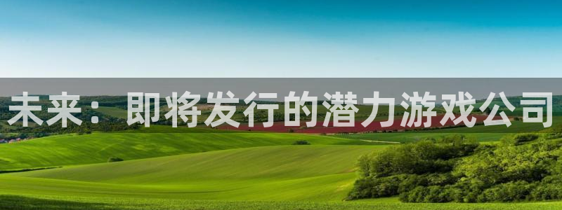 新宝GG官网平台是骗局吗：未来：即将发行的潜力游戏公司