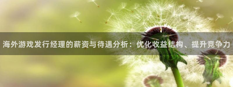 新宝GG官网客服电话是多少：海外游戏发行经理的薪资与待遇分析：优化收益结构、提升竞争力