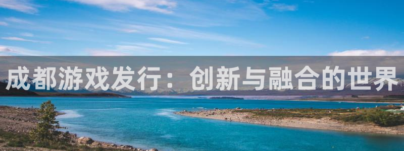 新宝GG是什么：成都游戏发行：创新与融合的世界