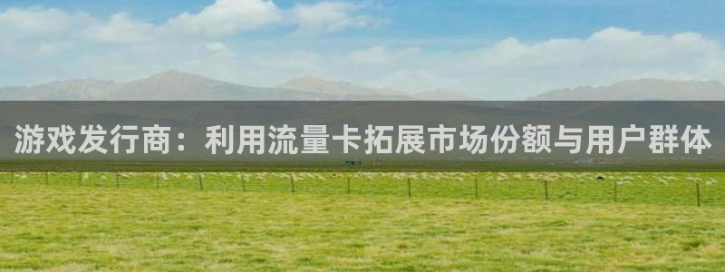 陕西新宝GG子文化创意骗局：游戏发行商：利用流量卡拓展市场份额与用户群体