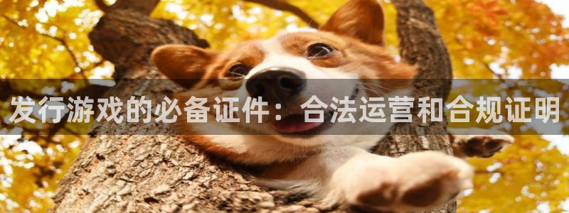 新宝GG子的所有小说：发行游戏的必备证件：合法运营和合规证明