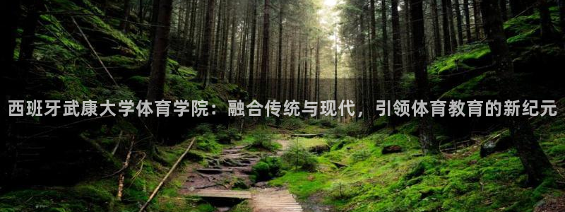 vsport体育在线官网：西班牙武康大学体育学院：融合传统与现代，引领体育教育的新纪元