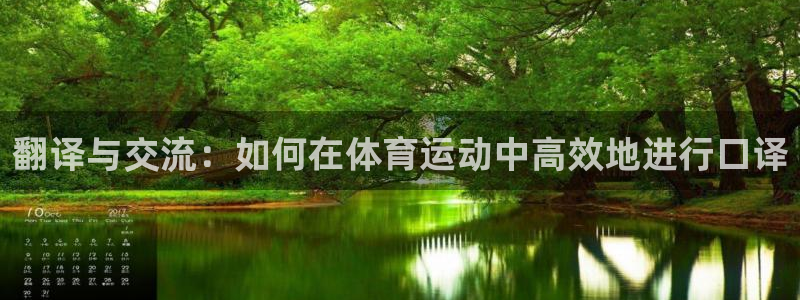 vsport体育在线官网：翻译与交流：如何在体育运动中高效地进行口译