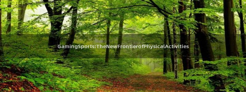 vsport体育在线官网：GamingSports:TheNewFrontierofPhysicalActivities