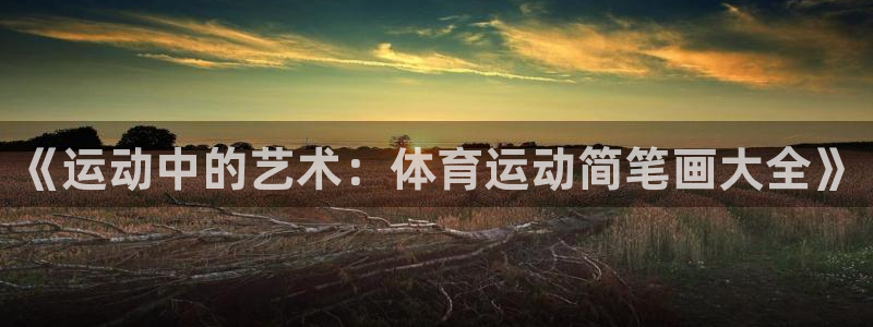 vsport体育在线官网：《运动中的艺术：体育运动简笔画大全》