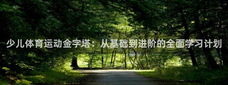 vsport体育：少儿体育运动金字塔：从基础到进阶的全面学习计划