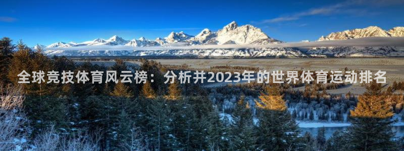 vsport体育：全球竞技体育风云榜：分析并2023年的世界体育运动排名
