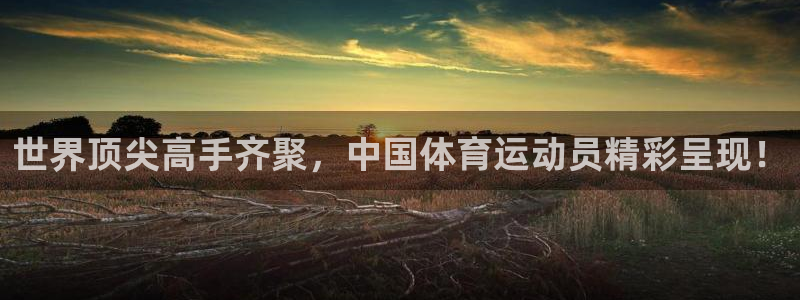 vsport体育：世界顶尖高手齐聚，中国体育运动员精彩呈现！