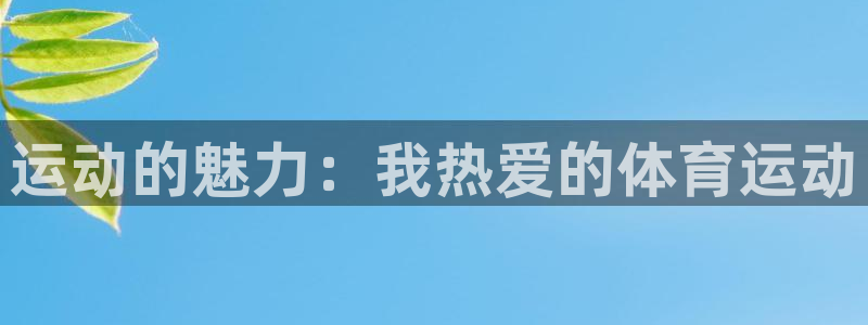 vsport体育在线官网：运动的魅力：我热爱的体育运动