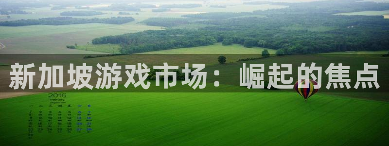 新宝GG电子商务