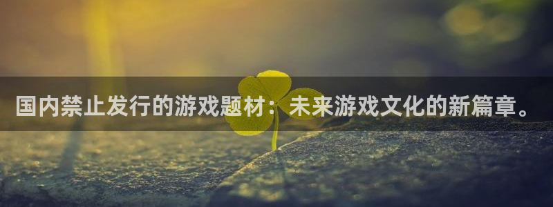 新宝GG子经理人杂志：国内禁止发行的游戏题材：未来游戏文化的新篇章。