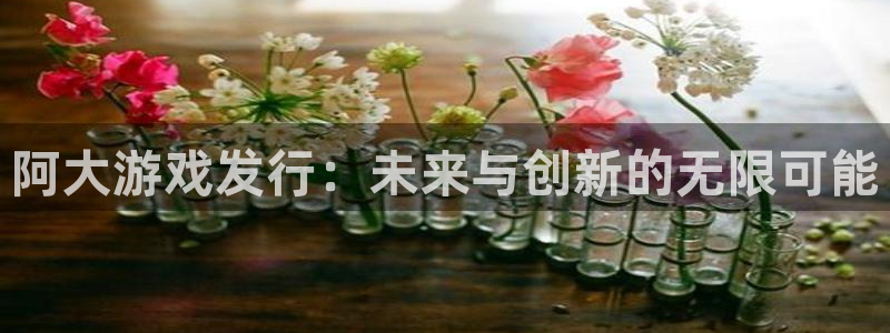 新宝GG官网平台代理开号怎么开：阿大游戏发行：未来与创新的无限可能