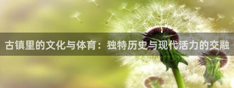vsport体育在线官网：古镇里的文化与体育：独特历史与现代活力的交融